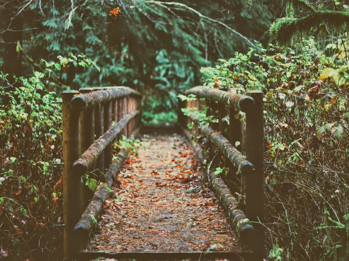 The Ghost of Goose River Bridge